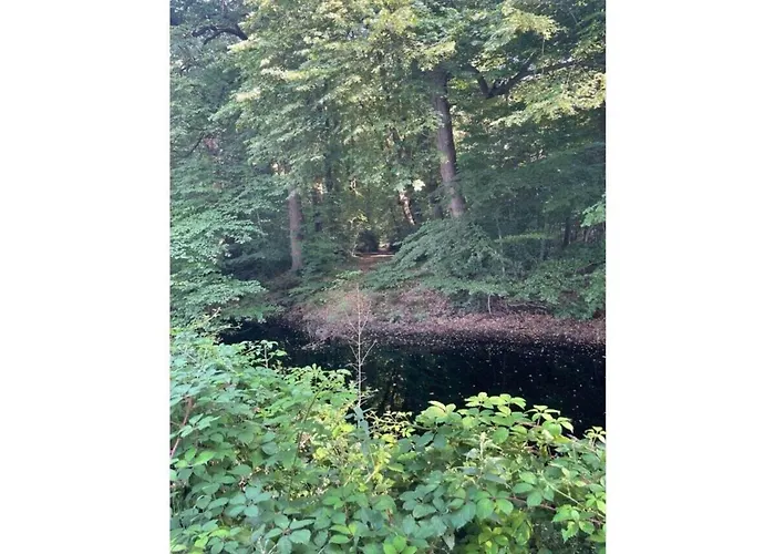 One-bedroom 펜션 *