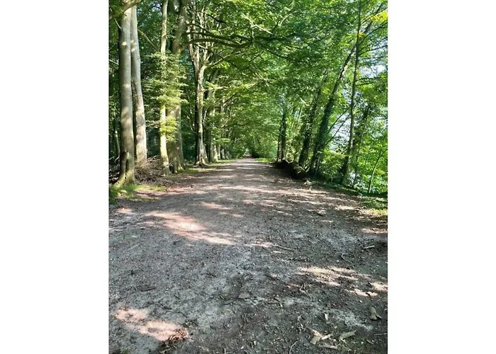 One-bedroom 펜션 *